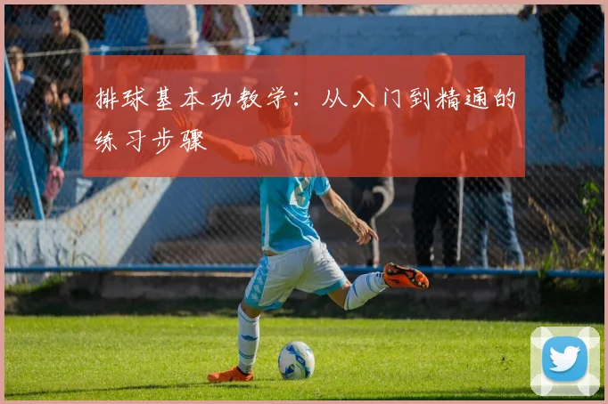 排球基本功教学：从入门到精通的练习步骤